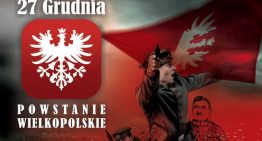 Hołd Powstańcom Wielkopolskim 1918 / 19 – wyniki